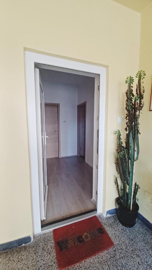 Apartman Dora Apartment Pula Exterior foto